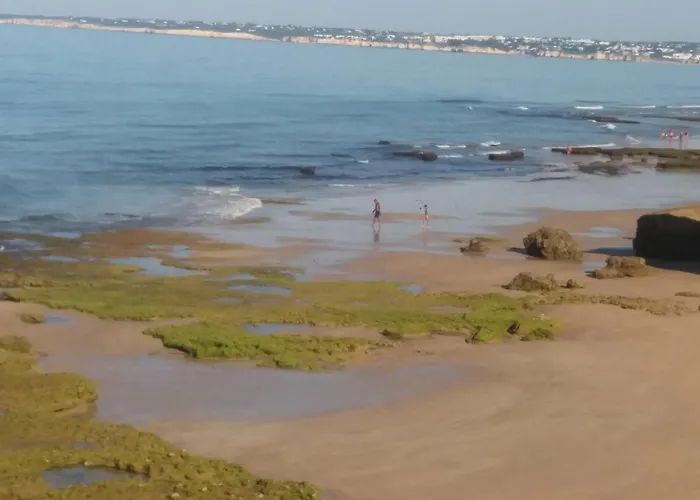 Appartamento Encosta S. José -vale Parra